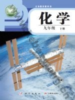 仁爱版科普版九年级化学下册