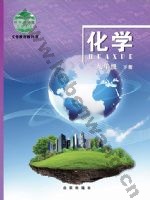 北京版九年级化学下册