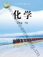 鲁教版九年级化学下册