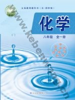 鲁教版八年级化学全一册